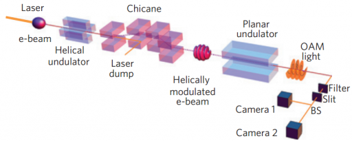 Ilustración del experimento (no a escala). El rayo no modulado de electrones interactúa con un láser polarizado lineal en un ondulador helicoidal, que les da a los electrones un golpe de energía que depende de su posición en el rayo láser concentrado. El haz luego viaja longitudinalmente a través de un “chicane” (una especie de dinamizador) que hace a los electrones con más energía alcanzar a los de menor energía (momento de compactación). El resultado es un haz de luz “microagrupado helicoidalmente” que irradia luz con OAM en la frecuencia fundamental dentro del ondulador planar. (Crédito: Erik Hemsing et al./Nature Physics)